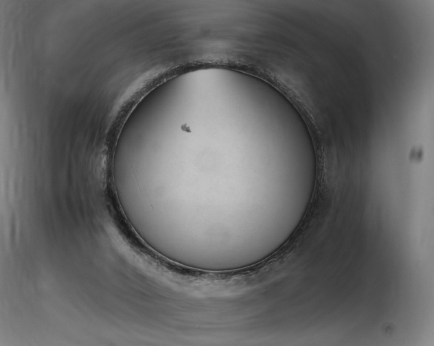 X0000116840016200912181508