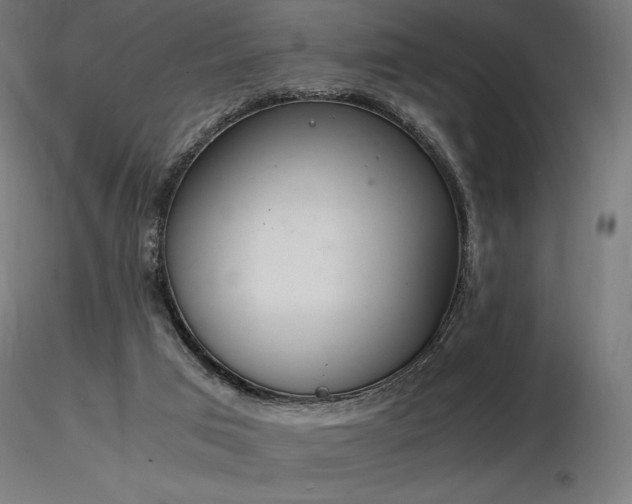 X0000116840017200912181508