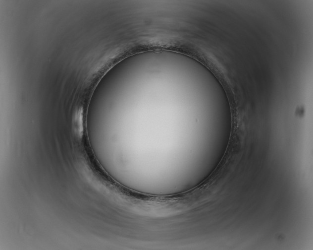 X0000116840020200912181508
