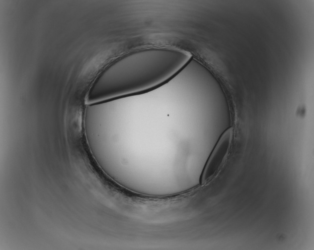 X0000116840021200912181508