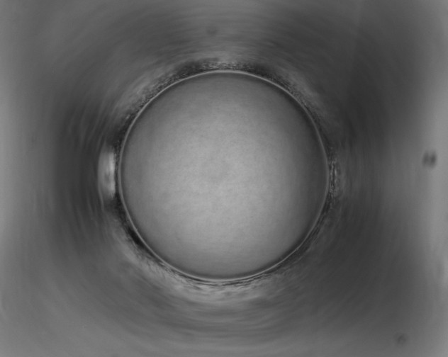 X0000116840022200912181508