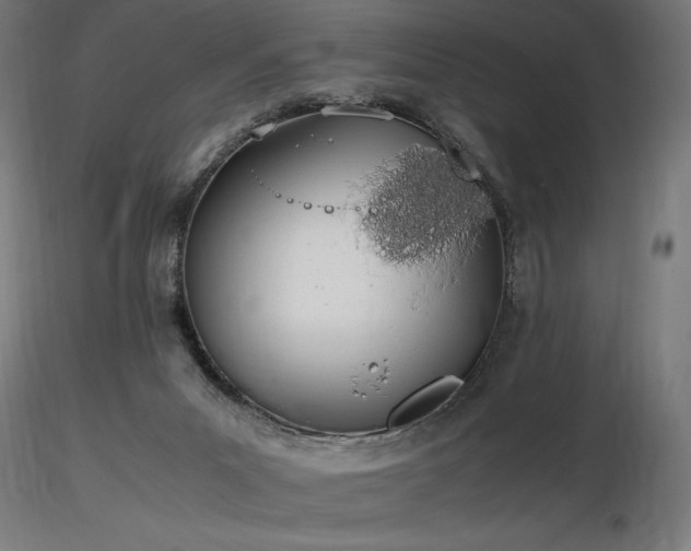 X0000116840023200912181508
