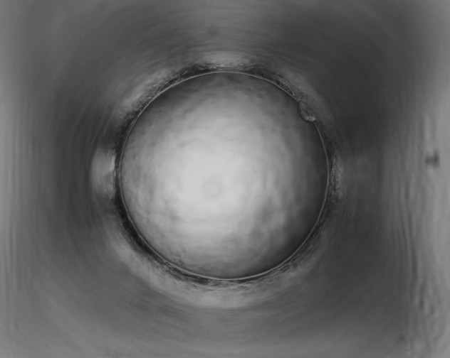 X0000116840024200912181508