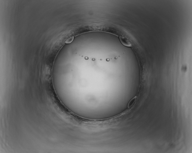 X0000116840025200912181508