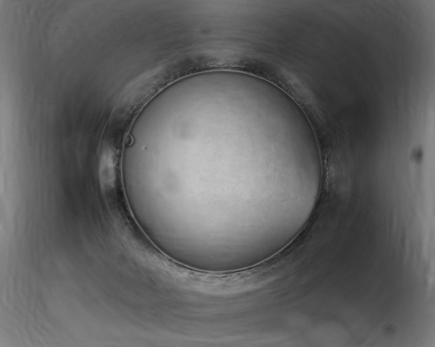 X0000116840026200912181508