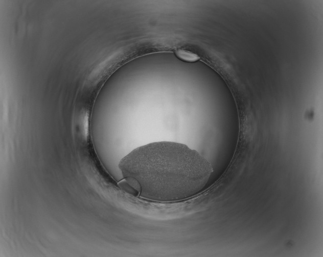 X0000116840027200912181508