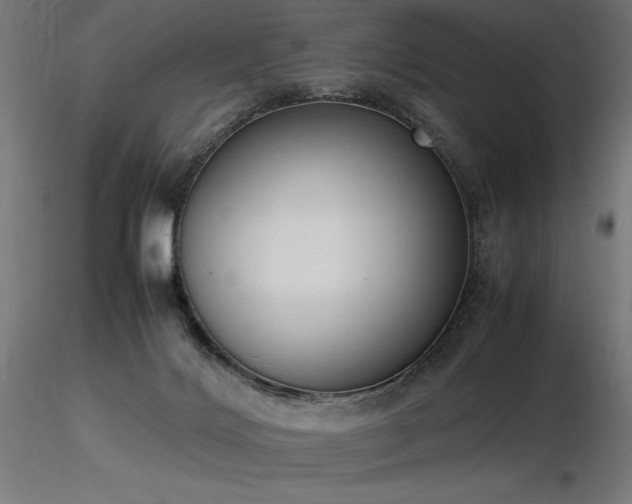 X0000116840028200912181508