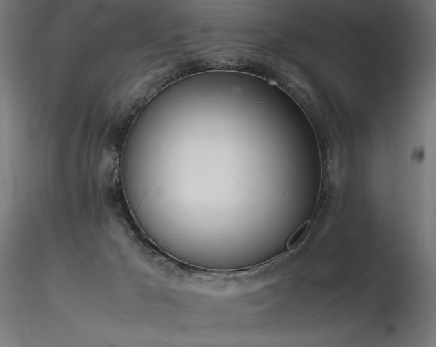 X0000116840029200912181508