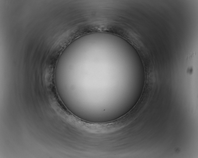 X0000116840030200912181508