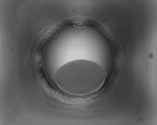 X0000116840031200912181508