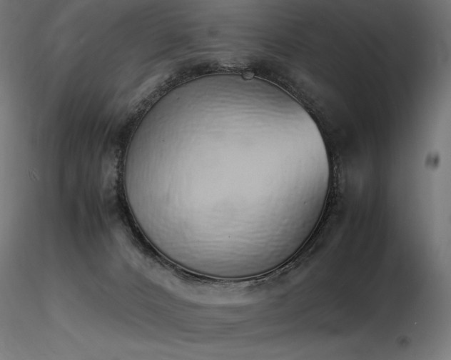 X0000116840032200912181508