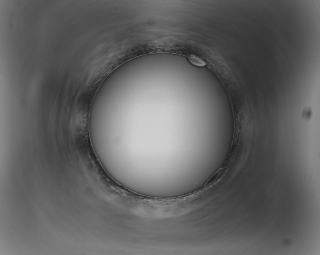 X0000116840033200912181508