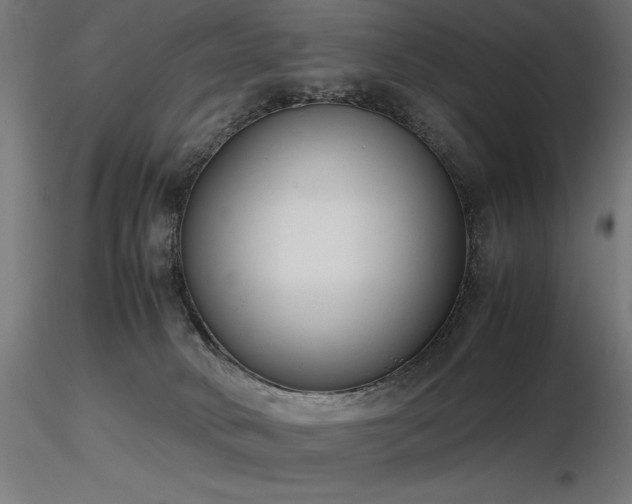 X0000116840034200912181508