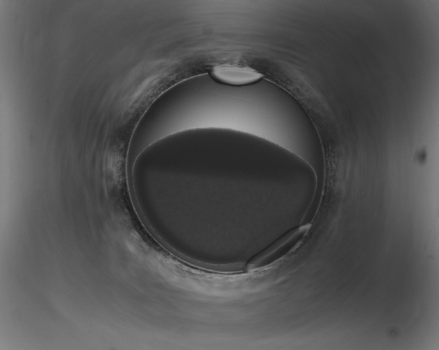 X0000116840035200912181508