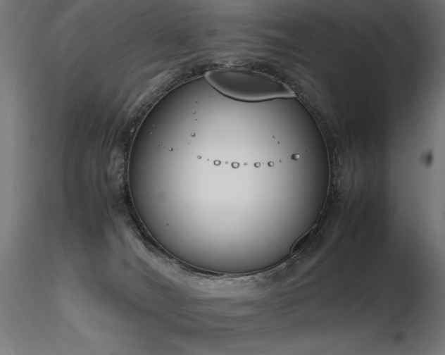 X0000116840036200912181508