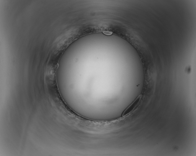 X0000116840037200912181508