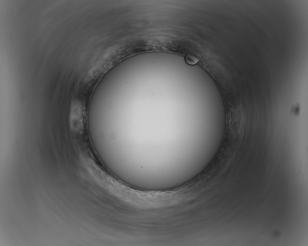 X0000116840038200912181508