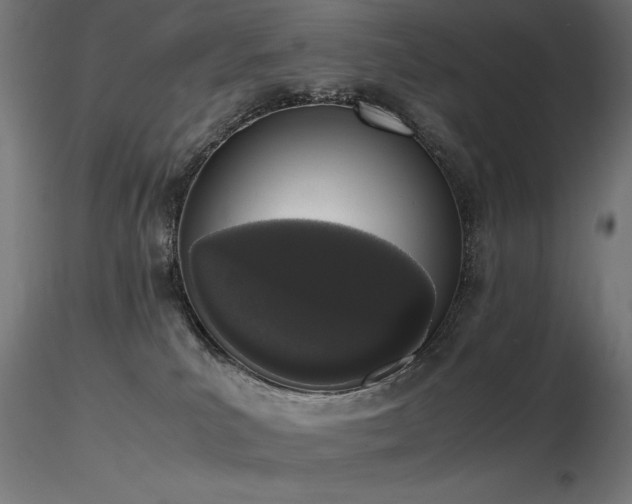 X0000116840039200912181508