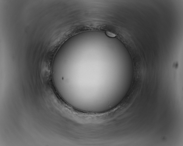 X0000116840040200912181508