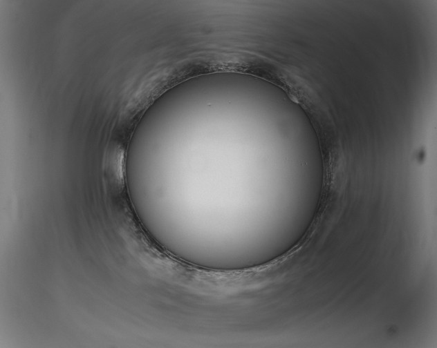 X0000116840041200912181508