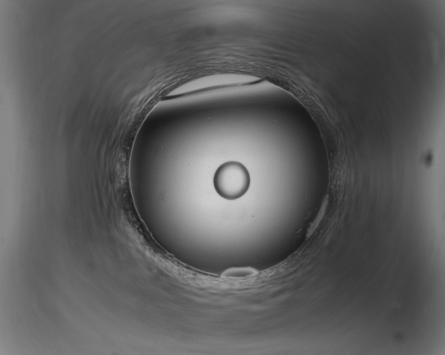 X0000116840043200912181508
