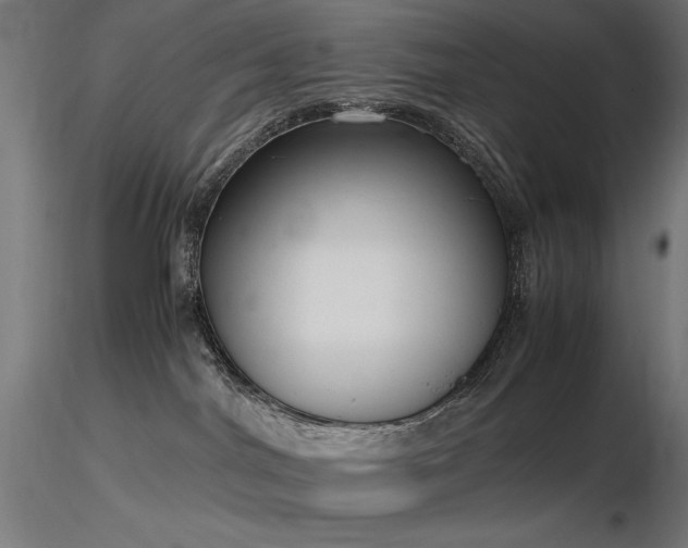 X0000116840044200912181508