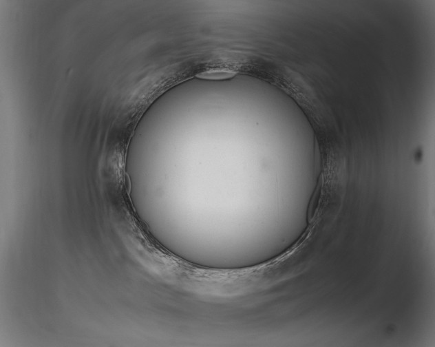 X0000116840045200912181508