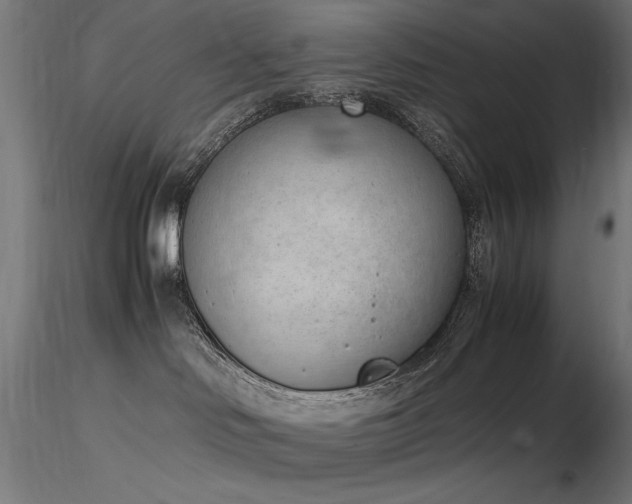 X0000116840046200912181508