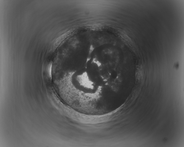 X0000116840047200912181508