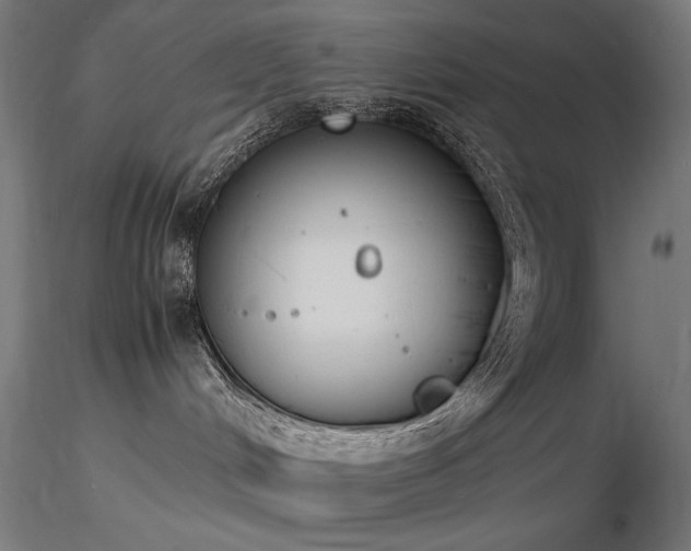 X0000116840048200912181508