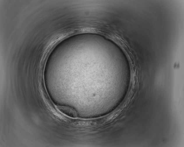 X0000116840049200912181507