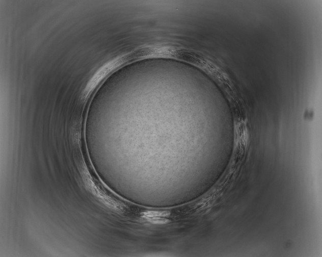 X0000116840051200912181507
