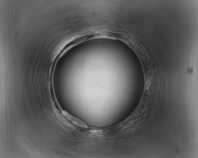 X0000116840052200912181507