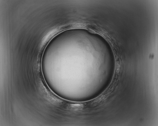 X0000116840053200912181507