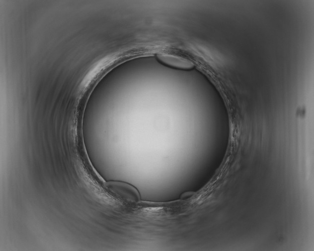X0000116840054200912181507