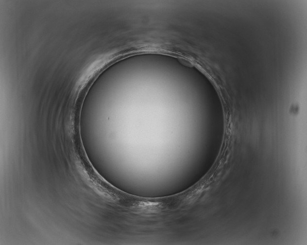 X0000116840055200912181507