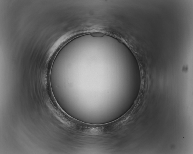 X0000116840056200912181507