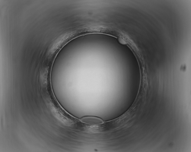X0000116840058200912181507