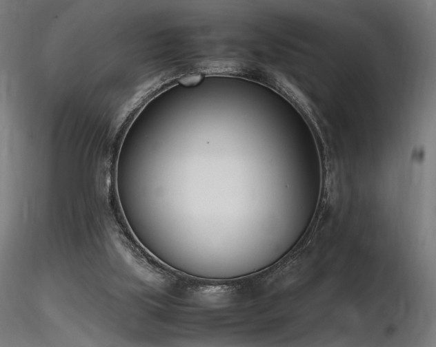 X0000116840059200912181507