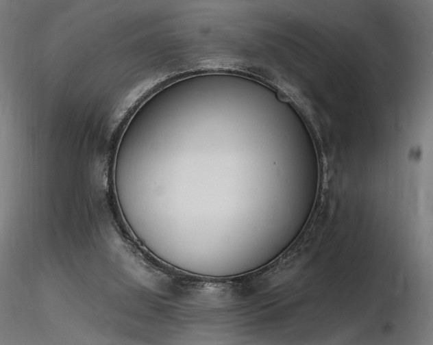 X0000116840060200912181507