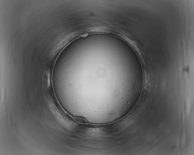 X0000116840061200912181507