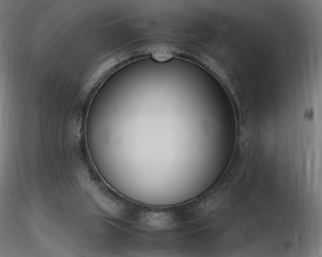 X0000116840063200912181507
