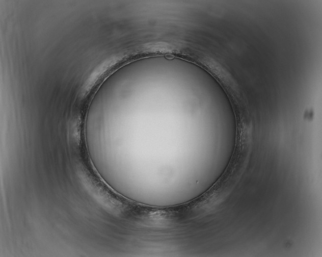 X0000116840064200912181507
