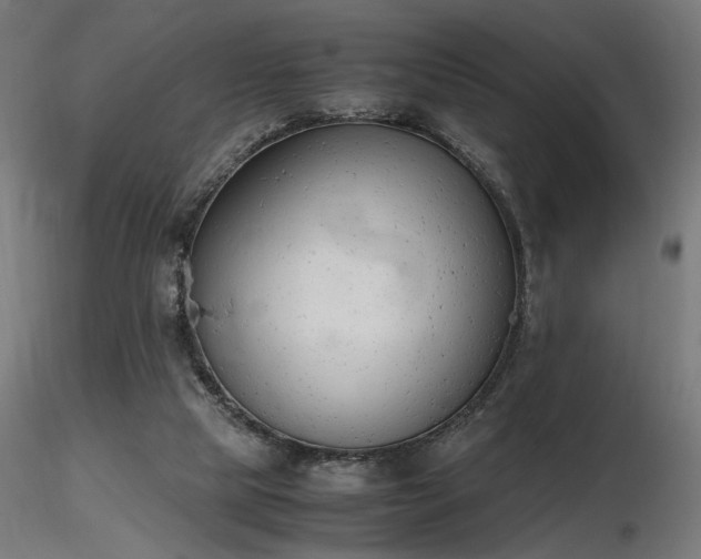 X0000116840065200912181507