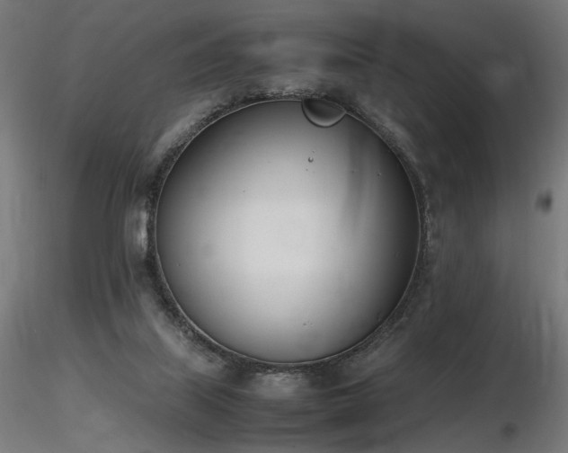 X0000116840067200912181507