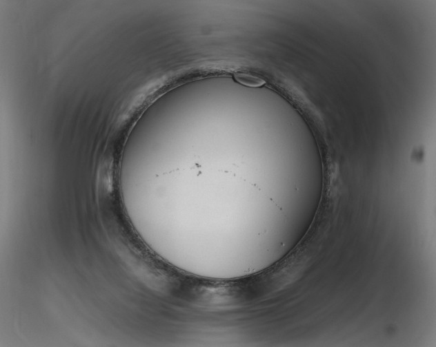 X0000116840068200912181507