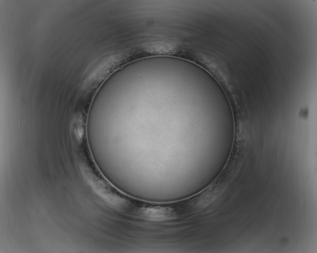 X0000116840069200912181507