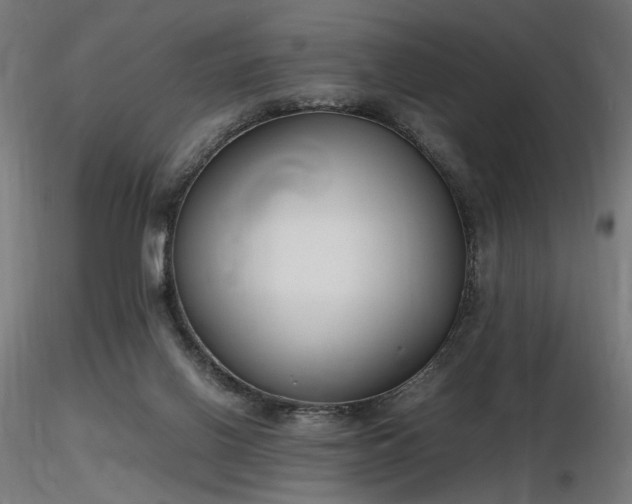 X0000116840070200912181507