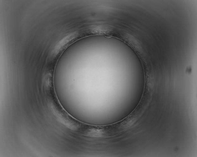 X0000116840071200912181507