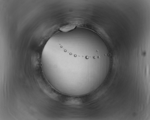 X0000116840073200912181507
